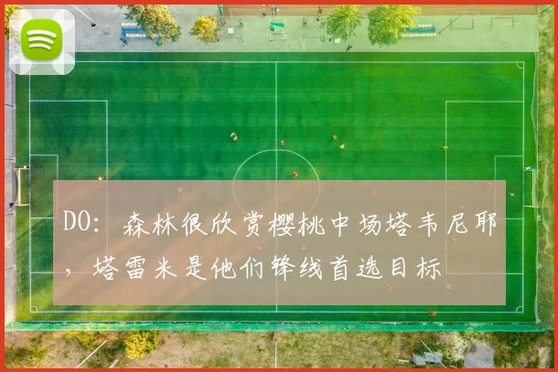 DO：森林很欣赏樱桃中场塔韦尼耶，塔雷米是他们锋线首选目标
