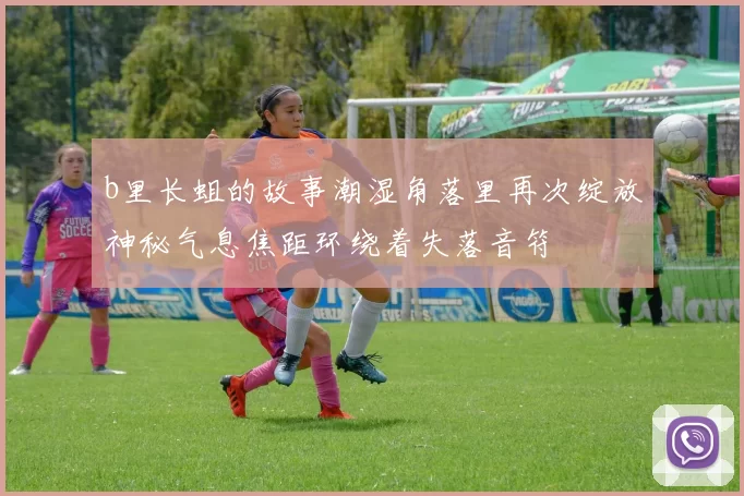 b里长蛆的故事潮湿角落里再次绽放神秘气息焦距环绕着失落音符