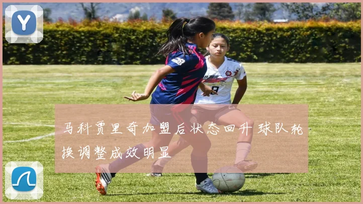 马科贾里奇加盟后状态回升 球队轮换调整成效明显
