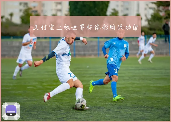 支付宝上线世界杯体彩购买功能