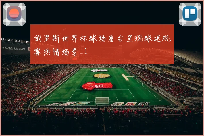 俄罗斯世界杯球场看台呈现球迷观赛热情场景_1