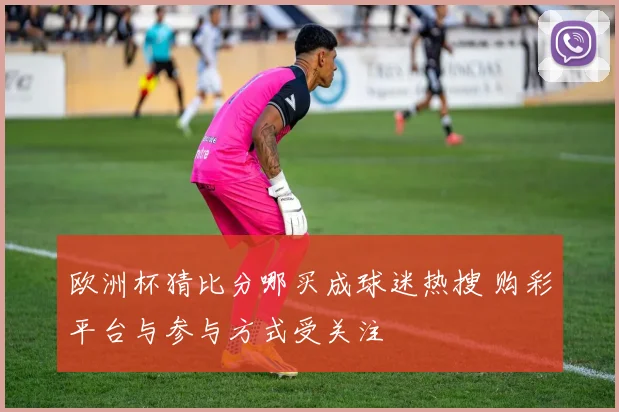 欧洲杯猜比分哪买成球迷热搜 购彩平台与参与方式受关注