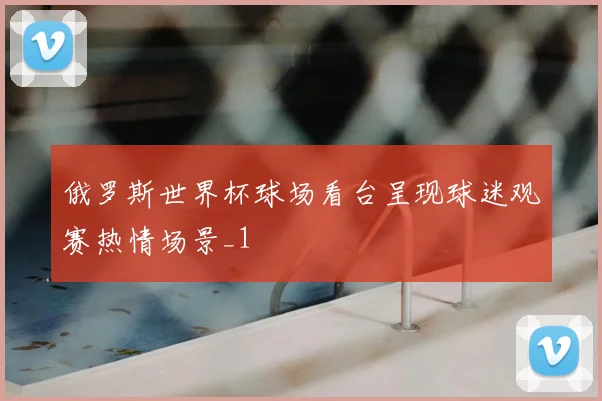 俄罗斯世界杯球场看台呈现球迷观赛热情场景_1